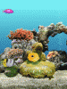 anim240320mobildesign.atw.hu_0060.gif